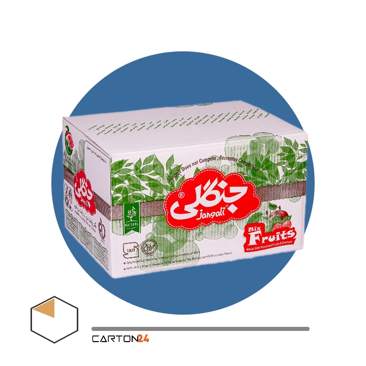 بسته بندی موادغذایی کارتن24 خشکبار میوه خشک چیپس روغن شیر جعبه 24 نیکسازان آریا