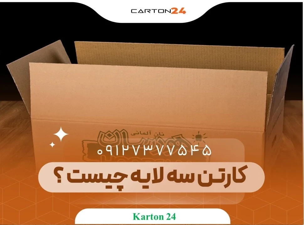 کارتن سه لایه